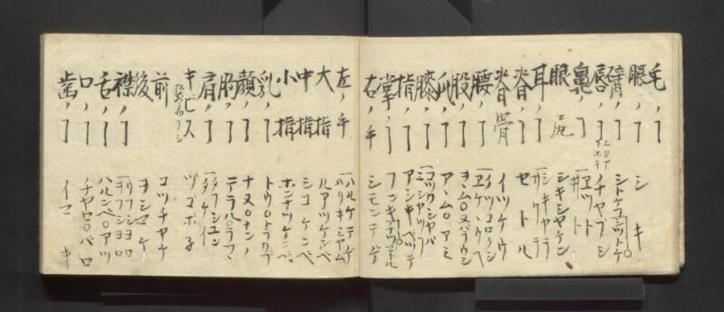 南北蝦夷地魯西亜国話通言（北海道立図書館） - ページ 6