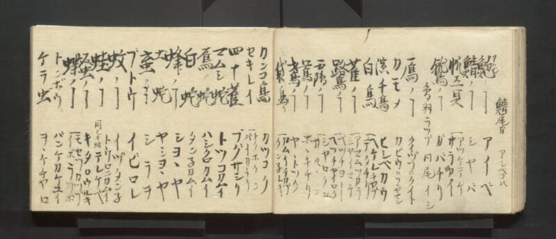 南北蝦夷地魯西亜国話通言（北海道立図書館） - ページ 16
