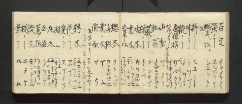 南北蝦夷地魯西亜国話通言（北海道立図書館） - ページ 17