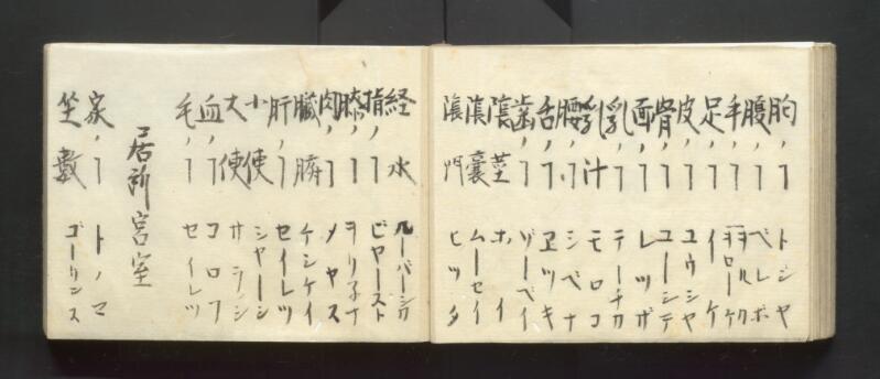南北蝦夷地魯西亜国話通言（北海道立図書館） - ページ 31