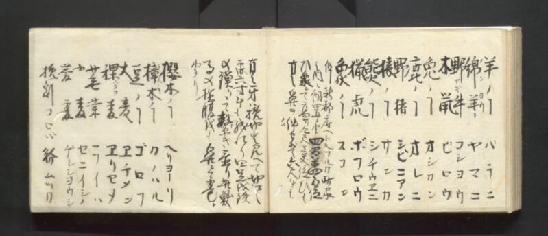 南北蝦夷地魯西亜国話通言（北海道立図書館） - ページ 38